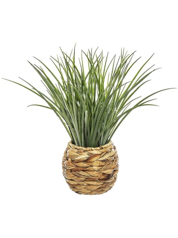 WellHome Kunstpflanze in Grün - (H)48 x Ø 50 cm
