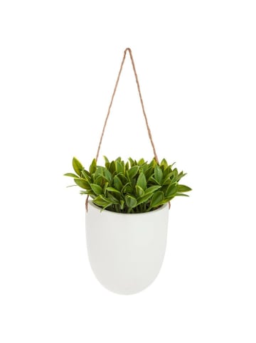 WellHome Kunstpflanze in Grün/ Weiß - (B)18 x (H)20,5 x (T)13 cm