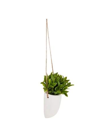 WellHome Kunstplant groen/wit - (B)18 x (H)20,5 x (D)13 cm