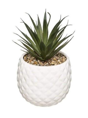 WellHome Kunstpflanze in Grün/ Weiß - (H)19 x Ø 13 cm