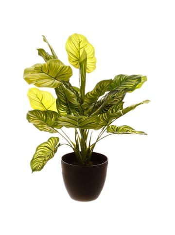 WellHome Kunstplant groen - (H)40 x Ø 45 cm