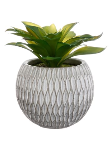 WellHome Kunstpflanze in Grün - (H)17,5 x Ø 16 cm (Überraschungsprodukt)
