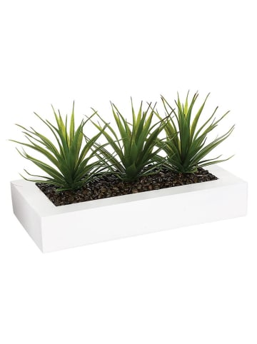 WellHome Kunstpflanze in Weiß/ Grün - (B)35 x (H)14,8 x (T)17 cm