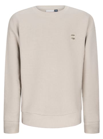 Retour Sweatshirt "Torsten" in Beige