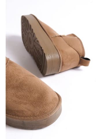 trendyol Ankle-Boots in Hellbraun