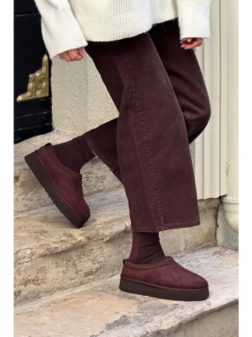 trendyol Leder-Ankle-Boots in Braun