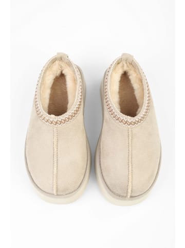 trendyol Ankle-Boots in Creme