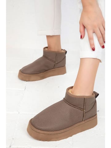 trendyol Ankle-Boots in Braun