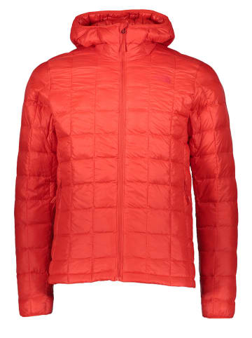The North Face Steppjacke in Rot