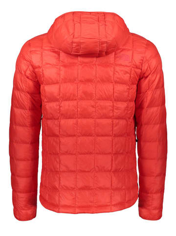 The North Face Kurtka pikowana w kolorze czerwonym