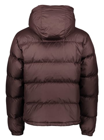 The North Face Daunenjacke "Heritage" in Braun