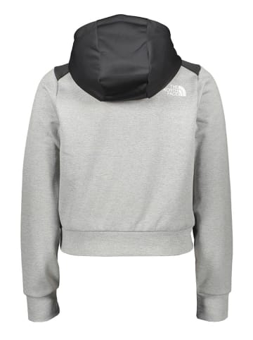 The North Face Hoodie "Reaxion" lichtgrijs