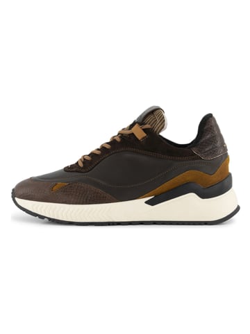 DENBROECK Leren sneakers "Baxter St." bruin
