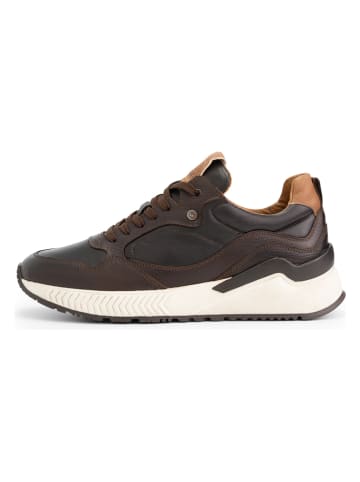 DENBROECK Leder-Sneakers "Cort St." in Braun