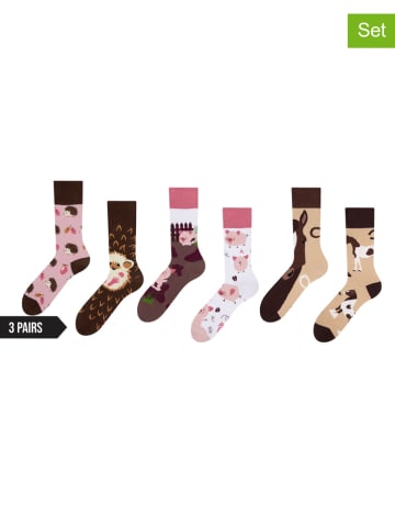 Dedoles 3er-Set: Socken in Bunt