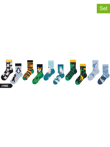 Dedoles 5er-Set: Socken in Bunt