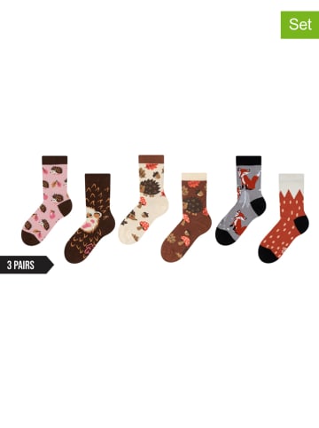 Dedoles 3er-Set: Socken in Bunt