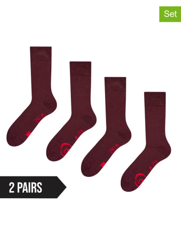 Dedoles 2er-Set: Socken in Bordeaux