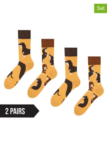 Dedoles 2er-Set: Socken in Hellbraun