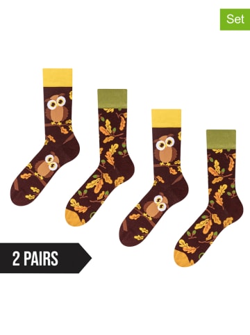 Dedoles 2er-Set: Socken in Braun