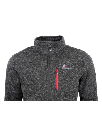 Peak Mountain Fleecejacke "Cemo" in Grau