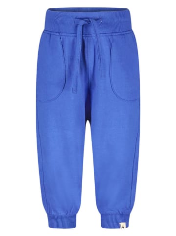 The New Chapter Sweathose in Blau