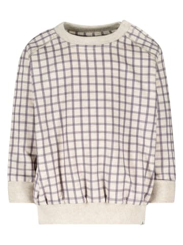 The New Chapter Sweatshirt crème/grijs