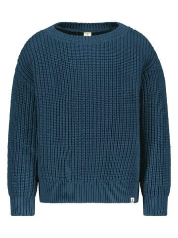 The New Chapter Pullover in Blau