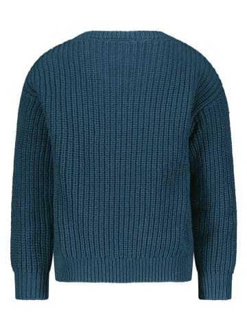 The New Chapter Pullover in Blau