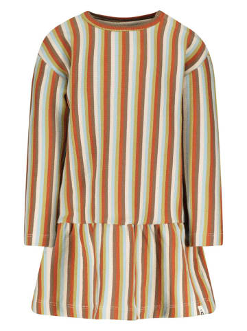 The New Chapter Kleid in Bunt