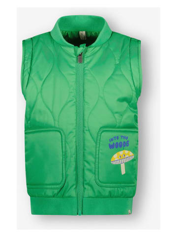 The New Chapter Doorgestikte bodywarmer groen