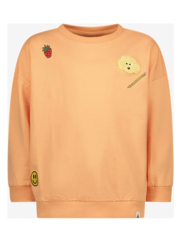 The New Chapter Sweatshirt in Orange