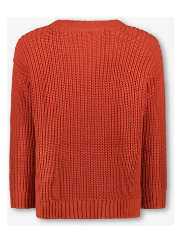 The New Chapter Pullover in Rot