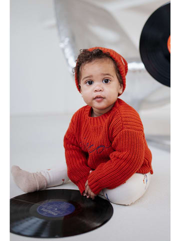 The New Chapter Pullover in Rot