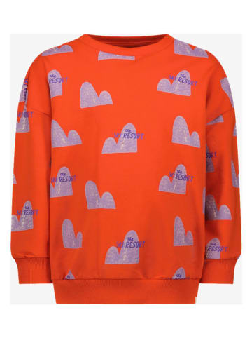 The New Chapter Sweatshirt rood