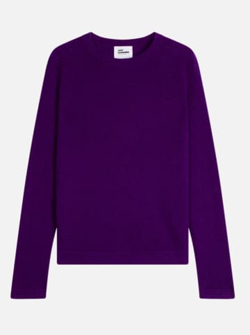 Just Cashmere Kasjmieren trui "Jane" paars