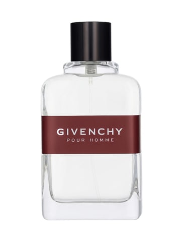 Givenchy Givenchy Pour Homme - EdT, 100 ml