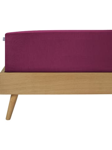 Schiesser Spannbettlaken "Elli" in Beere