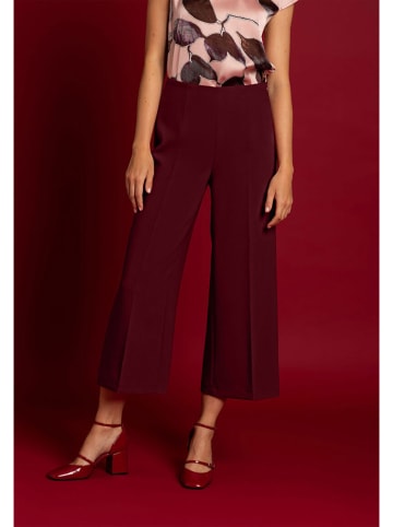 More & More Culotte bordeaux