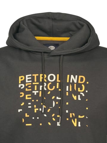 Petrol Hoodie taupe