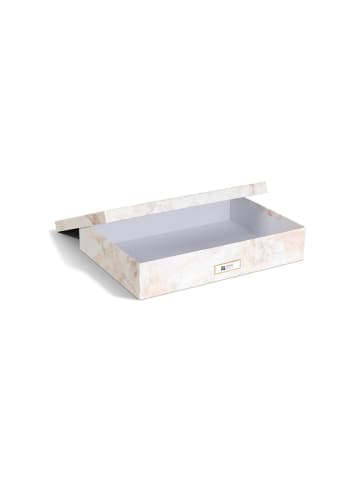 BigsoBox Dokumentenbox "Sverker" in Beige - DIN-A3