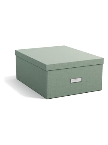 BigsoBox Ordnungsbox "Katrin" in Grün - (B)34,5 x (H)18,5 x (T)45 cm