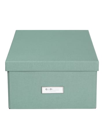 BigsoBox Ordnungsbox "Katia" in Grün - (B)28,5 x (H)16 x (T)39 cm