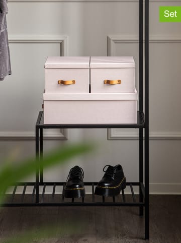 BigsoBox 3er-Set: Aufbewahrungsboxen "Inge" in Rosa