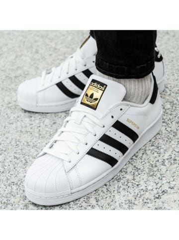 adidas Leder-Sneakers "Superstar" in Weiß/ Schwarz