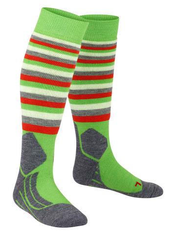 Falke Funktionssocken "Intermediate Stripes" in Grün