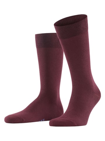 Falke Skarpety antypoślizgowe (3 pary) "Happy Box" w kolorze granatowo-czerwonym