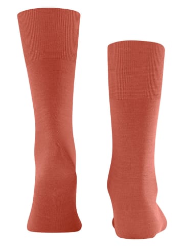 Falke Socken "Airport" in Orange