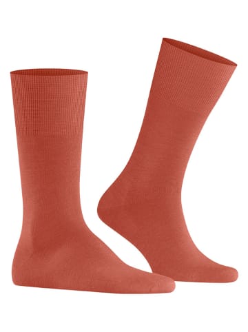 Falke Sokken "Airport" oranje