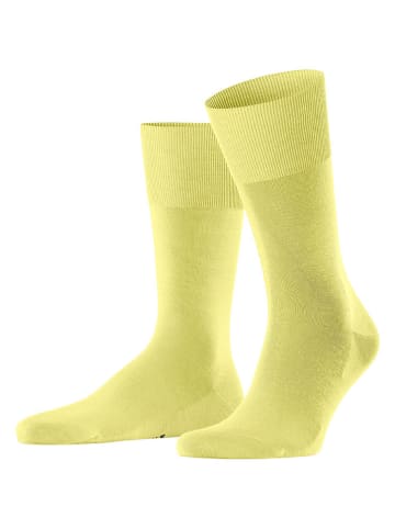 Falke Funktionssocken "ClimaWool" in Gelb